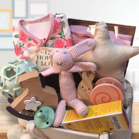 Luxury New Baby GIRL Gift Basket