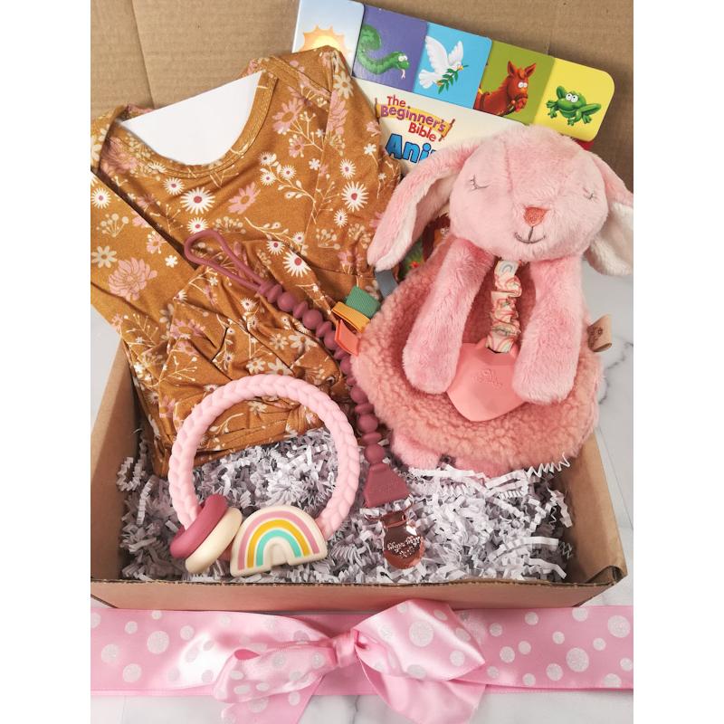 Animal Friends Baby GIRL Gift Box-Medium